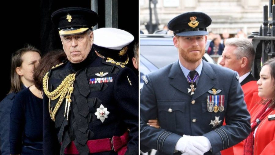Prinz Andrew und Prinz Harry - beide wurden schon lange nicht mehr in Uniform gesehen. (stk/spot)