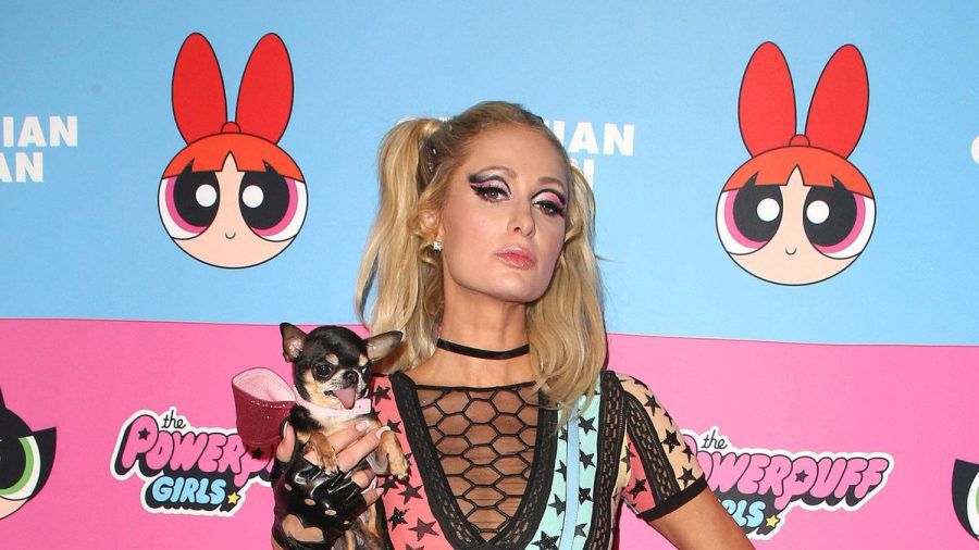 Paris Hilton und Diamond gemeinsam auf dem roten Teppich. (hub/spot)