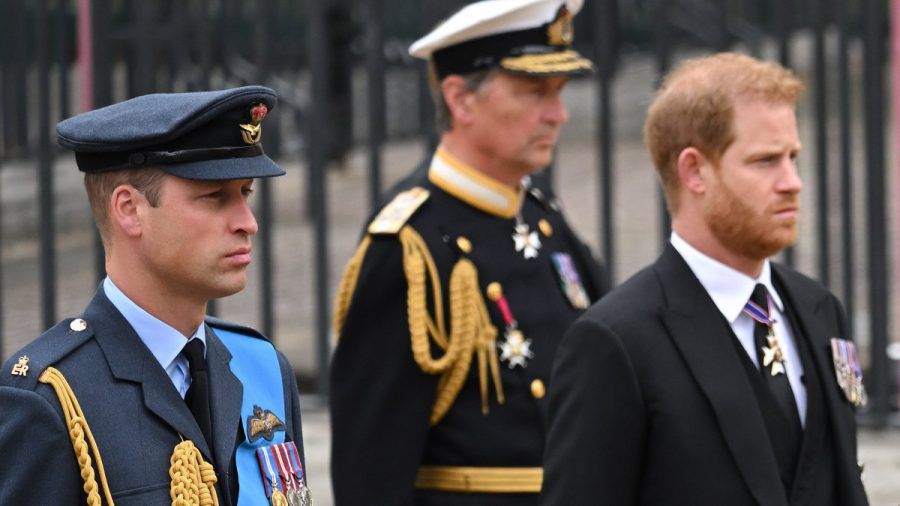 Prinz William (l.) und Prinz Harry haben keine Nähe gesucht. (tae/spot)