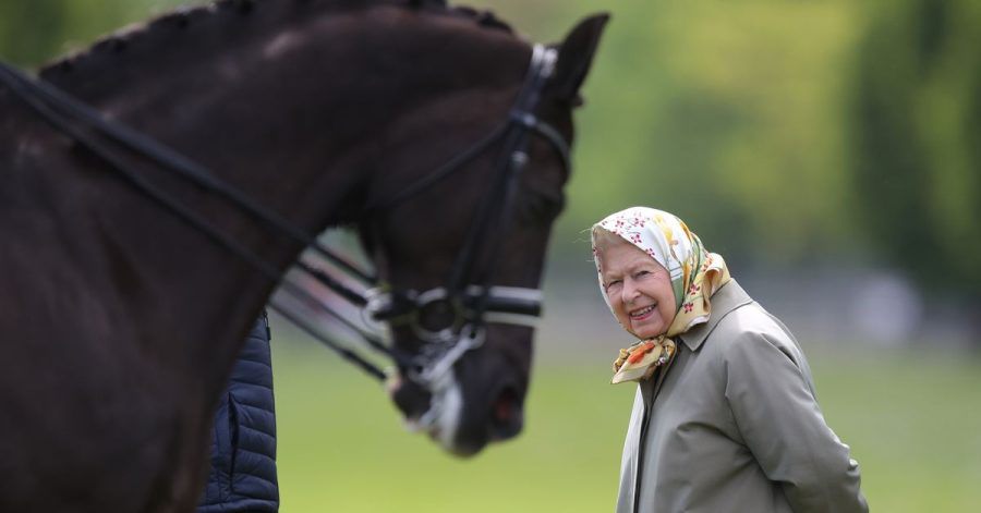 Die britische Königin Elizabeth II. betrachtet bei der Royal Windsor Horse Show ein Dressurpferd (2019).