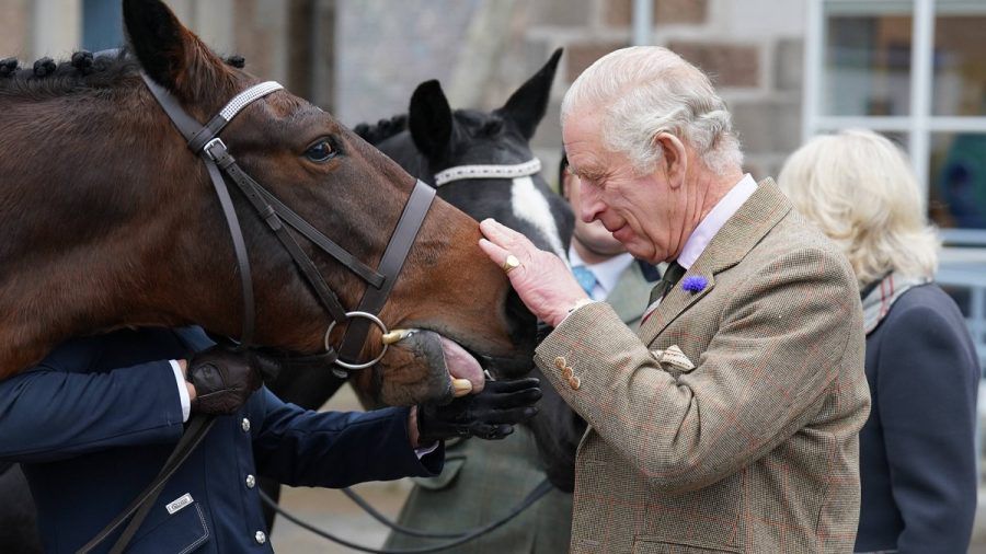 König Charles III. hat die angeblich rund 180 Pferde und Ponys von Queen Elizabeth II. geerbt. (eee/spot)