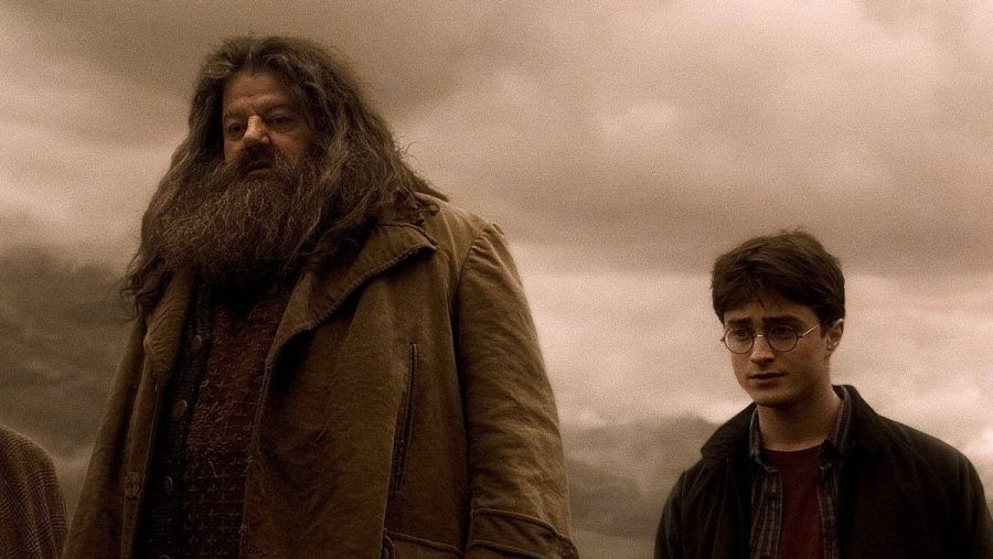 Robbie Coltrane und Daniel Radcliffe in "Harry Potter und der Halbblutprinz". (jom/spot)