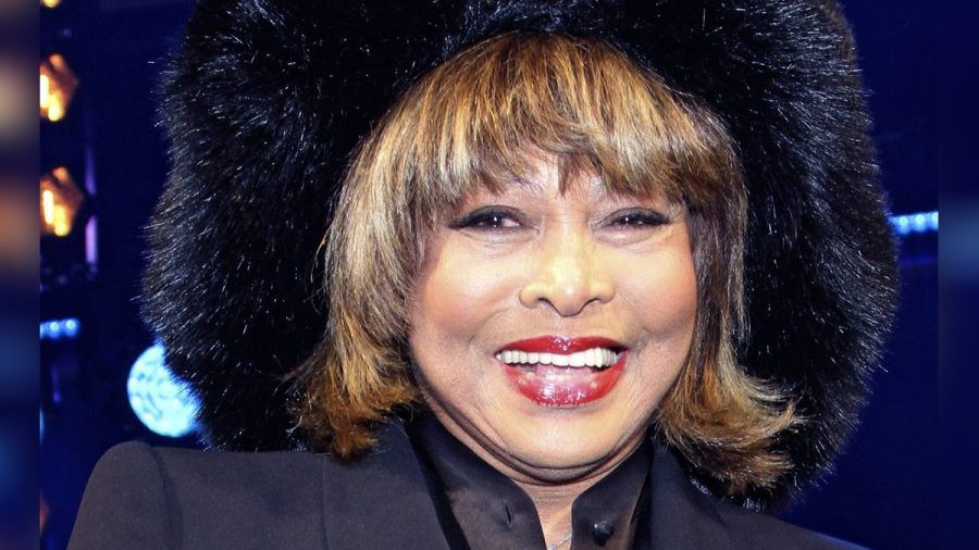 Tina Turner wird eine besondere Ehre zuteil. (amw/spot)