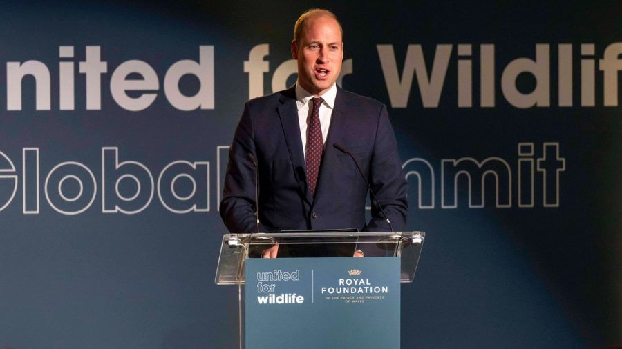 Prinz William hielt eine Rede beim United for Wildlife Global Summit in London. (tae/spot)