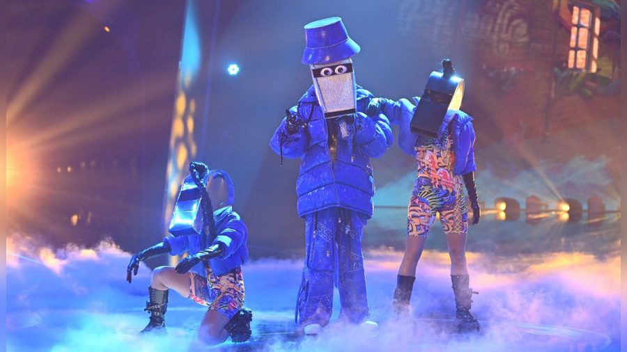 Am Samstagabend wurde bei "The Masked Singer" die Pfeife enttarnt. (as/spot)