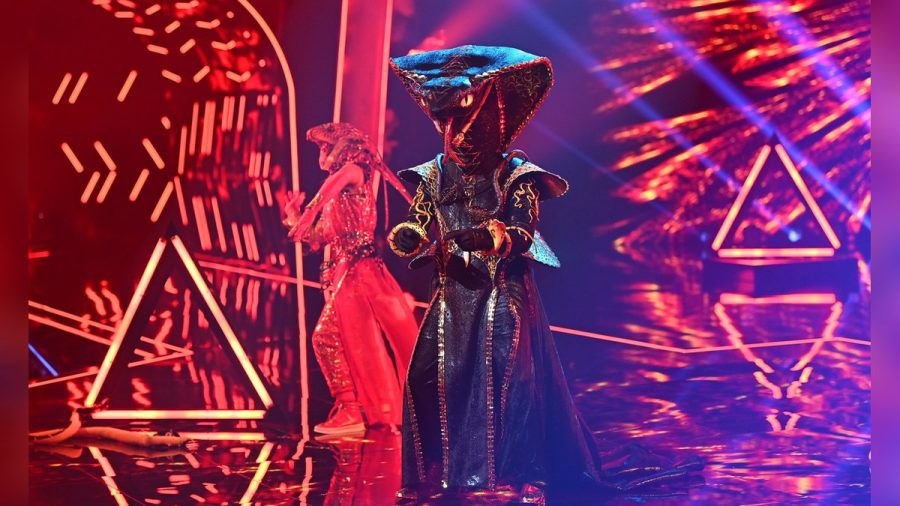 Enttarnung bei "The Masked Singer": Der Black Mamba wurde der Giftzahn gezogen. (as/spot)