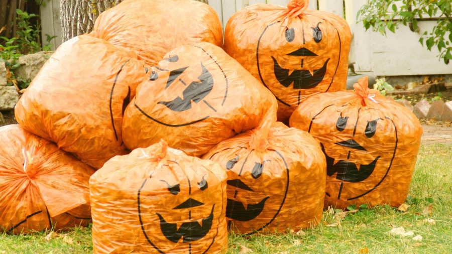 An Halloween fällt oft eine Menge Müll an. (ncz/spot)