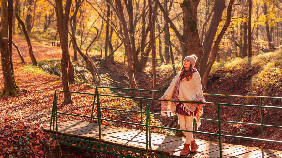 Waldbaden liegt im Trend. (eee/spot)