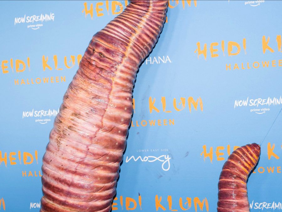 Heidi Klum dressed as earthworm for Halloween party in New York City - Getty - October 2022 BangShowbiz