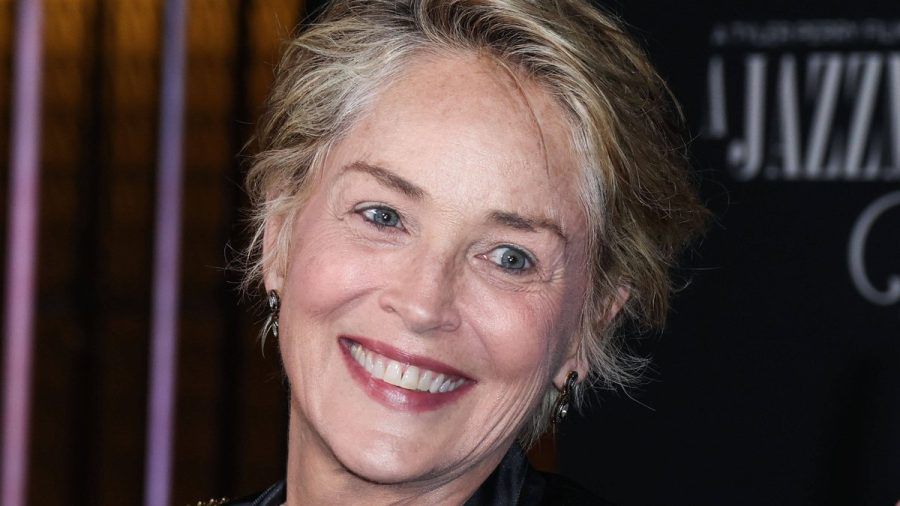 Sharon Stone hat drei adoptierte Söhne. (dr/spot)