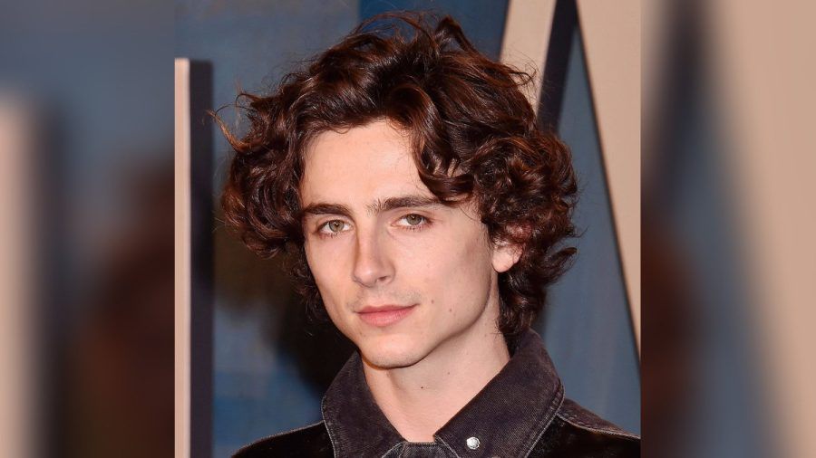 Timothée Chalamet ist einer der Hauptdarsteller von "Dune: Teil 2". (lau/spot)