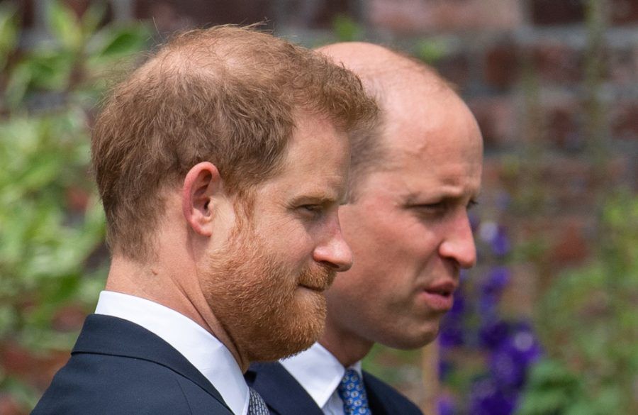 Princes Harry and William - Diana statue unveiling - Avalon BangShowbiz