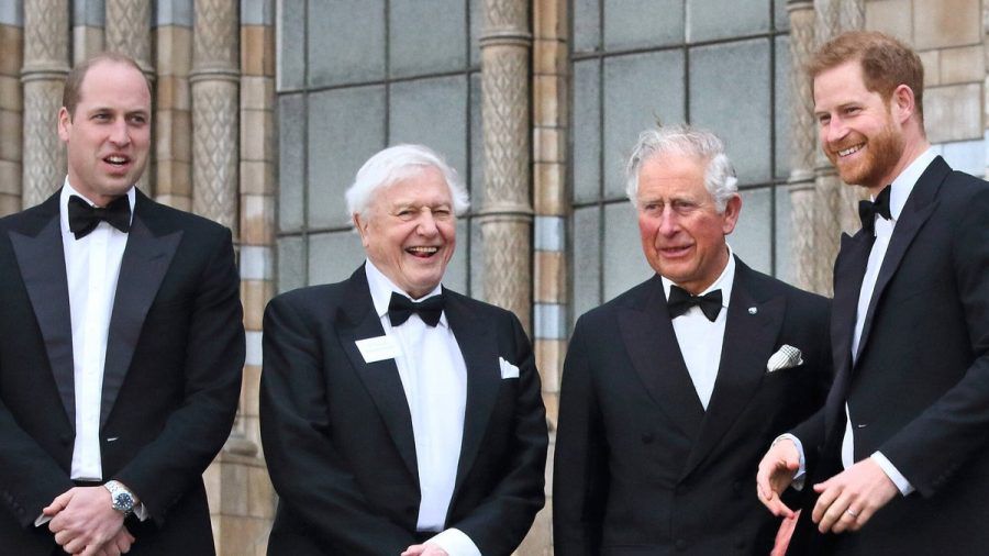 Prinz William (v.l.) bei einem gemeinsamen Termin mit Sir David Attenborough, dem heutigen König Charles III. und Prinz Harry im Jahr 2019. (ili/spot)