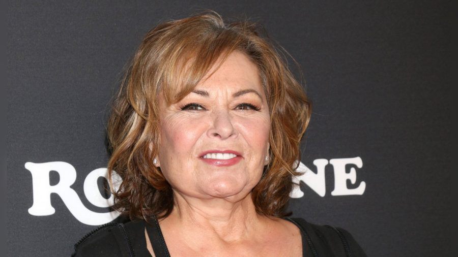 Roseanne Barr kommt mit einem eigenen Comedy-Special zum Thema Cancel Culture auf die Bühne. (spot)