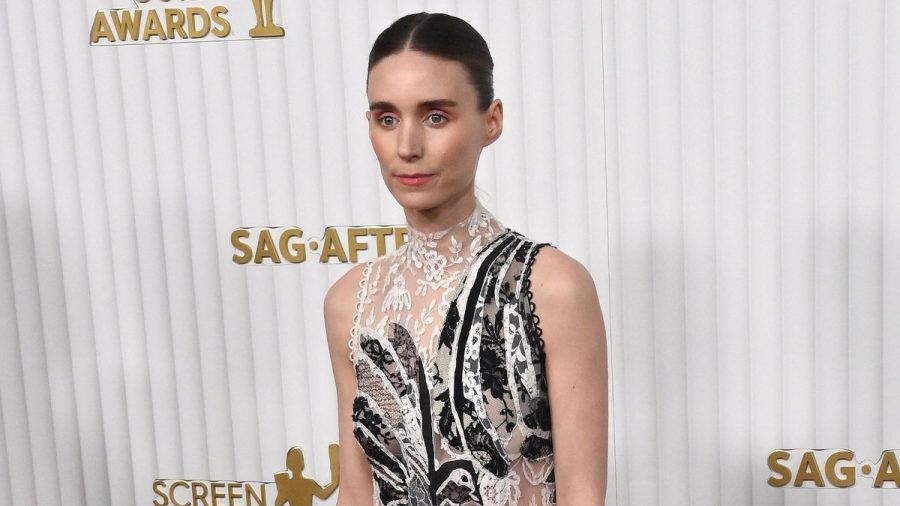 Die für einen Schauspielpreis nominierte Rooney Mara musste bei den SAG Awards auf ihren Einlass in den Eventsaal warten. (jer/spot)