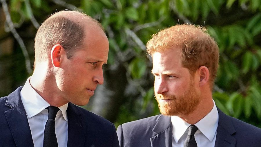"Prinz und Rebell - Harry gegen das Königshaus": Prinz William (l.) und sein Bruder Harry haben zurzeit kein entspanntes Verhältnis. (cg/spot)