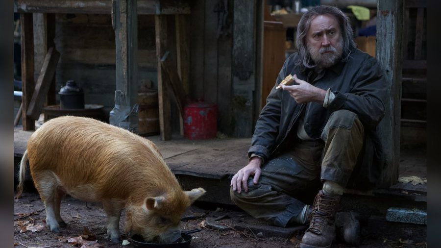 Ein Mann und sein Trüffelschwein: Nicolas Cage in "Pig". (stk/spot)