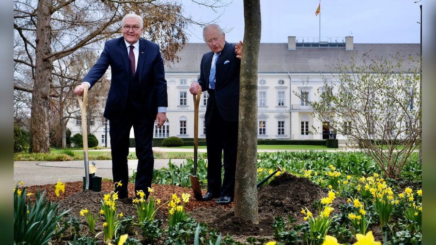 Im Garten von Schloss Bellevue pflanzten König Charles III. und Bundespräsident Steinmeier eine Manna-Esche zu Ehren der Queen. (sb/spot)