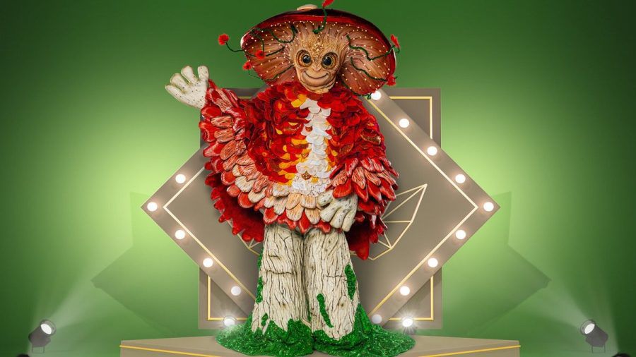 Der Pilz tritt ebenfalls bei "The Masked Singer" an. (eee/spot)