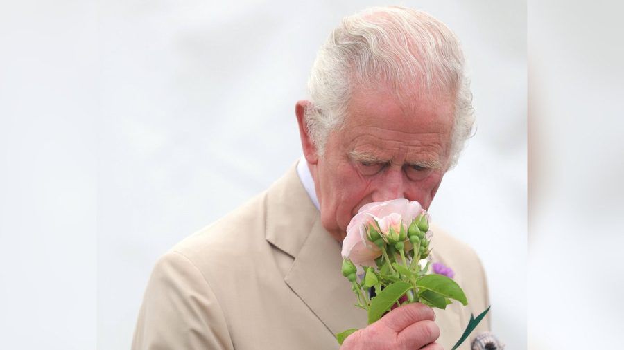 König Charles wird auf Blumen-Sonderbriefmarken zu sehen sein. (hub/spot)