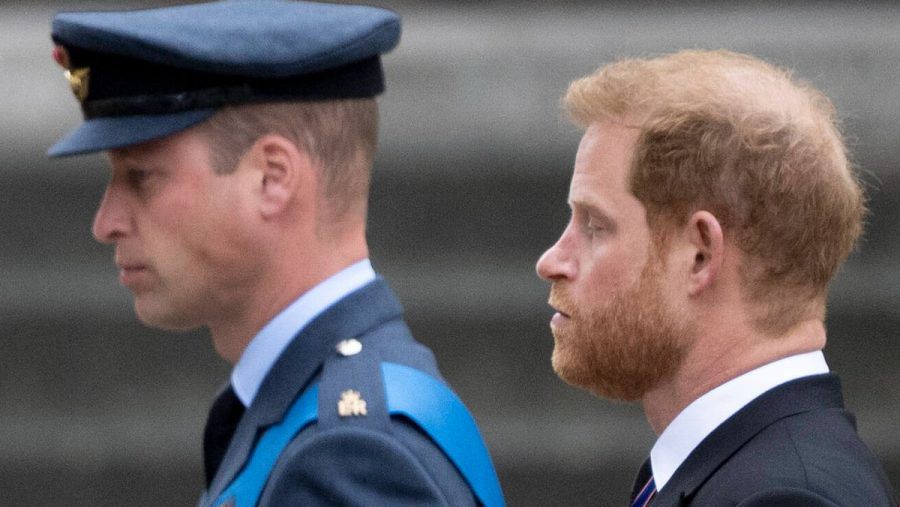 Prinz William und Prinz Harry beim Staatsbegräbnis für die Queen. (hub/spot)