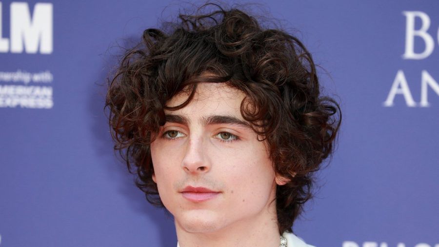 Timothée Chalamet spielt Bob Dylan. (hub/spot)