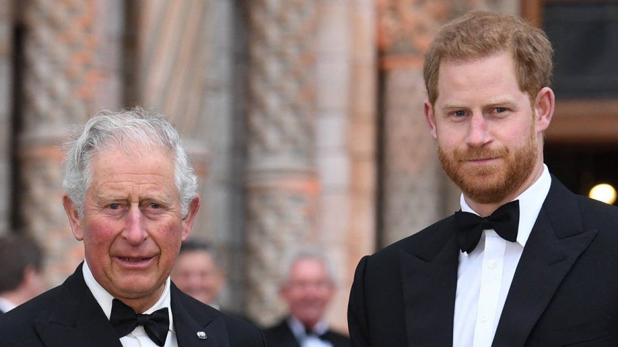 "Charles - Schicksalsjahre eines Königs": König Charles III. und sein Sohn Prinz Harry. (cg/spot)