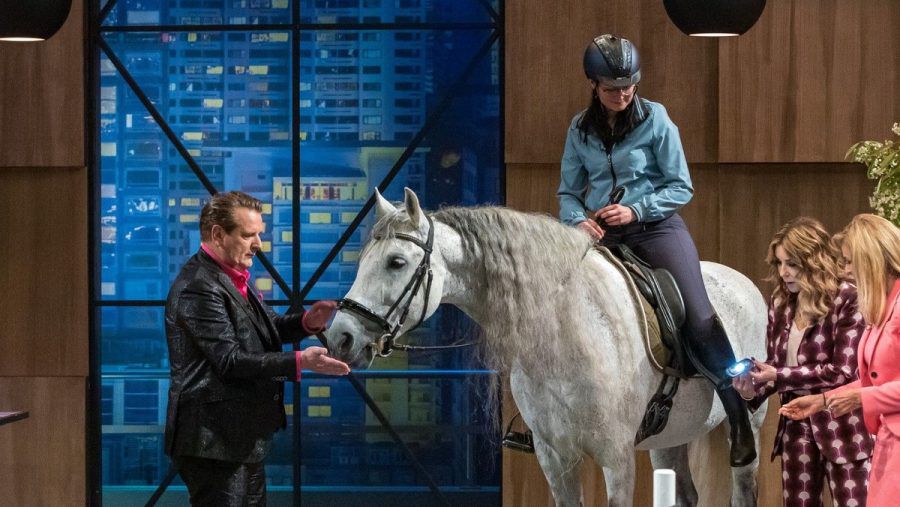 Für das Produkt "Lovelstar" holten sich die Gründer tierische Unterstützung ins Studio. (sj/spot)