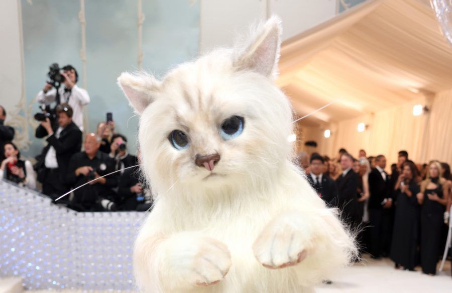 Jared Leto - dressed as cat - Met Gala - May 2023 - Getty BangShowbiz