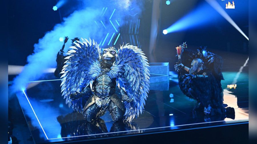 Der Schuhschnabel ist der "The Masked Singer"-Sieger 2023: Nachdem das blaue Vogelwesen Federn gelassen hat, kam ein bekannter Sänger zum Vorschein. (as/spot)