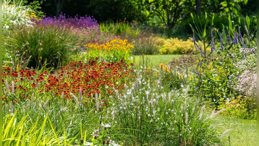 Viel Grün und üppige Blüten: Wer die richtige Pflanzenauswahl beachtet, hat trotz Klimawandel Freude an seinem Garten. (ae/spot)
