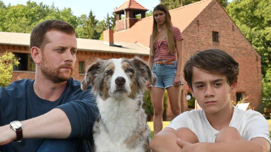 "Käthe und ich: Das Adoptivkind": Paul Winter (Christoph Schechinger, l.) versucht mit Hilfe von Hund Käthe Zugang zu Ben (Oskar Netzel) zu finden. (hub/spot)