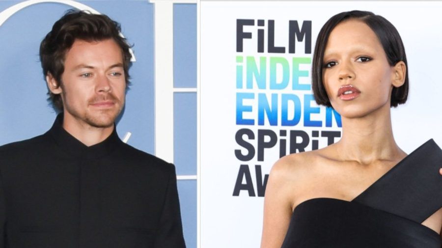 Harry Styles und Taylor Russell scheinen mehr als nur Freunde zu sein. (dr/spot)