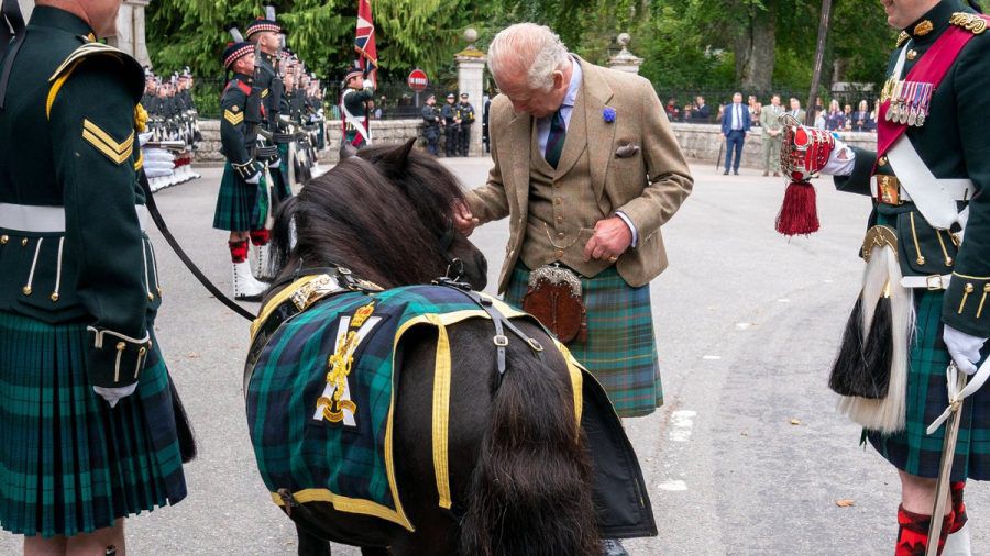 Charles mit dem berüchtigten Pony Corporal Cruachan IV. (smi/spot)