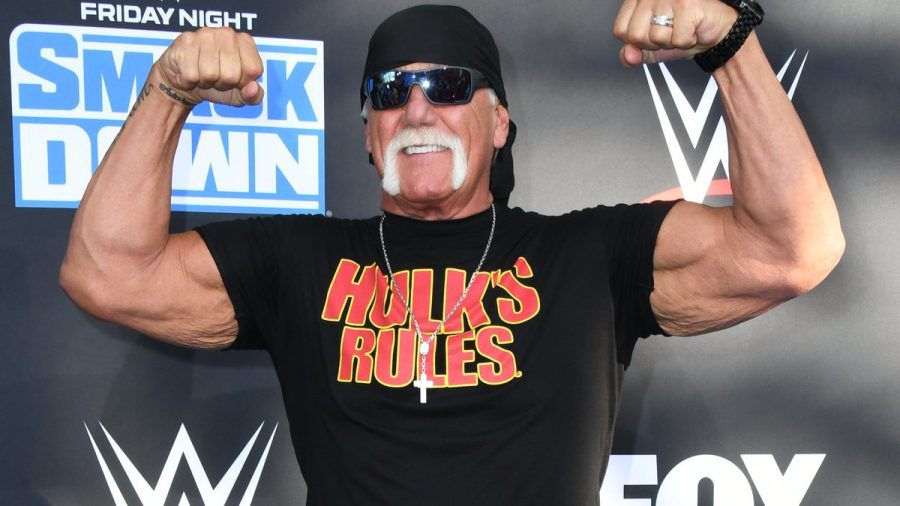Hulk Hogan hat seit acht Monaten nicht getrunken. (lau/spot)