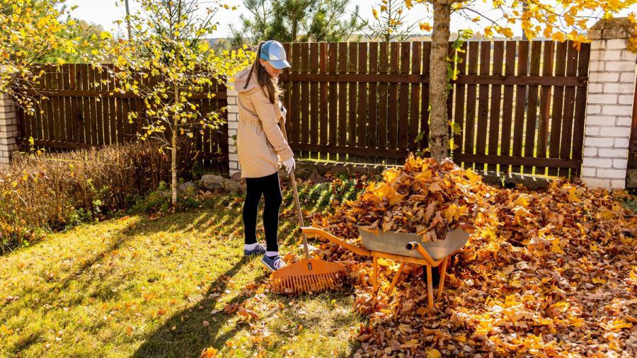 Im Herbst gibt es im Garten einiges zu tun. (ncz/eee/spot)