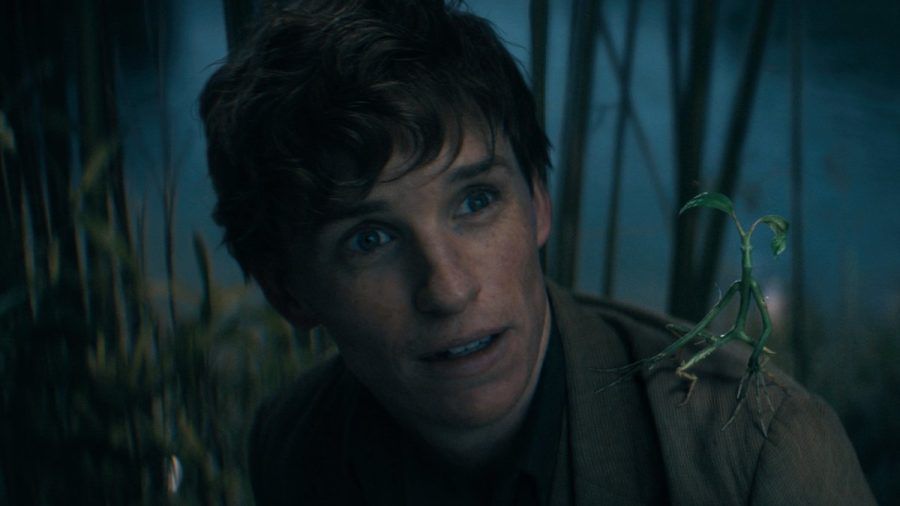 Eddie Redmayne als Newt Scamander in "Phantastische Tierwesen: Dumbledores Geheimnisse". (wue/spot)