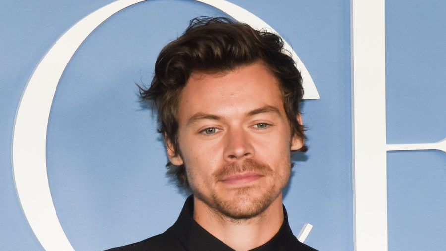 Reich und erfolgreich: Sänger Harry Styles (joeka/spot)