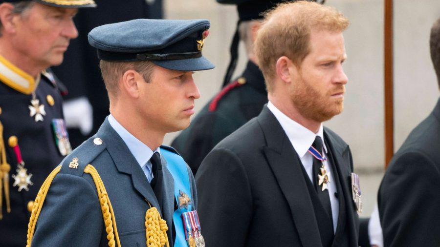 Prinz William und Prinz Harry: Wie sehr haben sie sich voneinander entfremdet? (hub/spot)