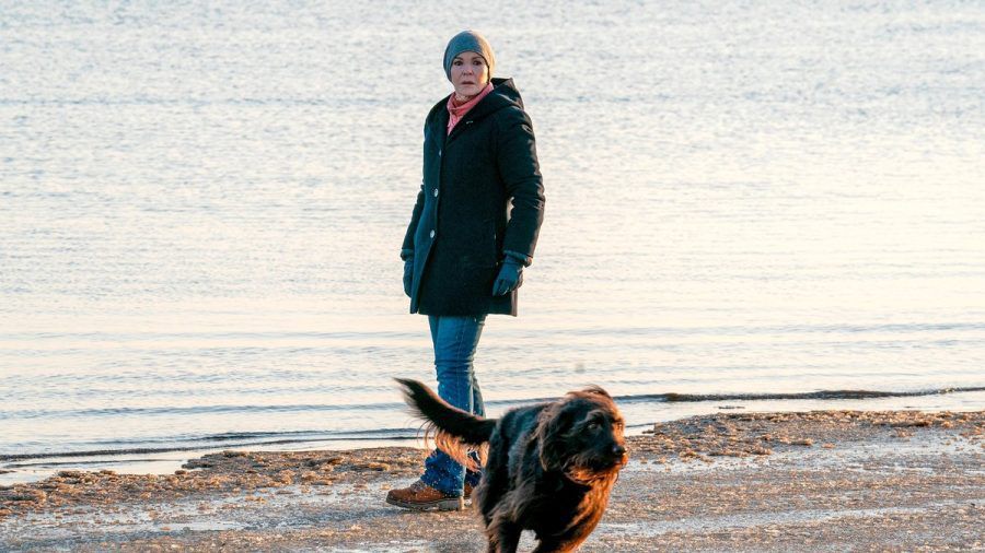 "Der Usedom-Krimi: Friedhof der Welpen": Karin Lossows (Katrin Sass) Hund Lucky nimmt Witterung auf. (cg/spot)