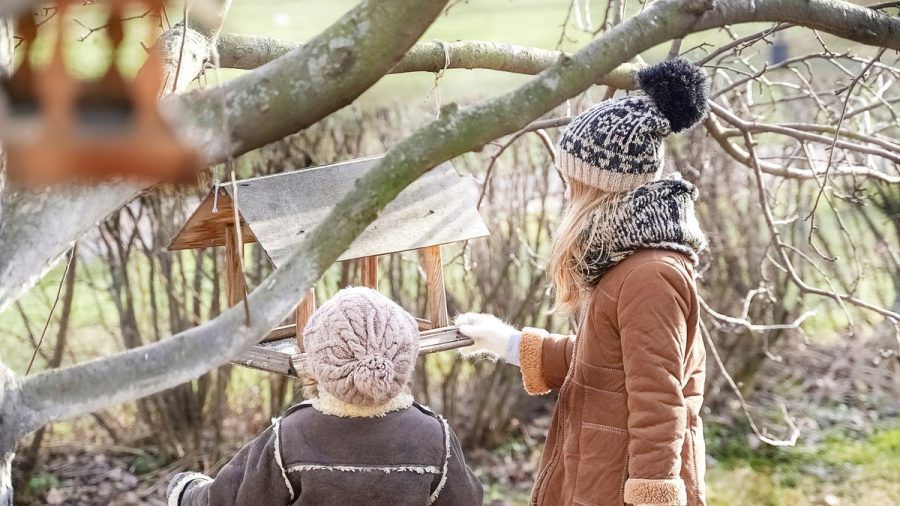 Einfache Maßnahmen helfen den heimischen Vögeln über den Winter. (jmk/spot)