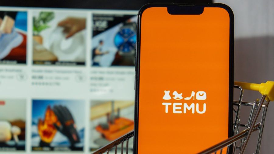Die Shopping-Plattform "Temu" hat in den vergangenen Monaten für viel Aufsehen gesorgt. (wue/spot)