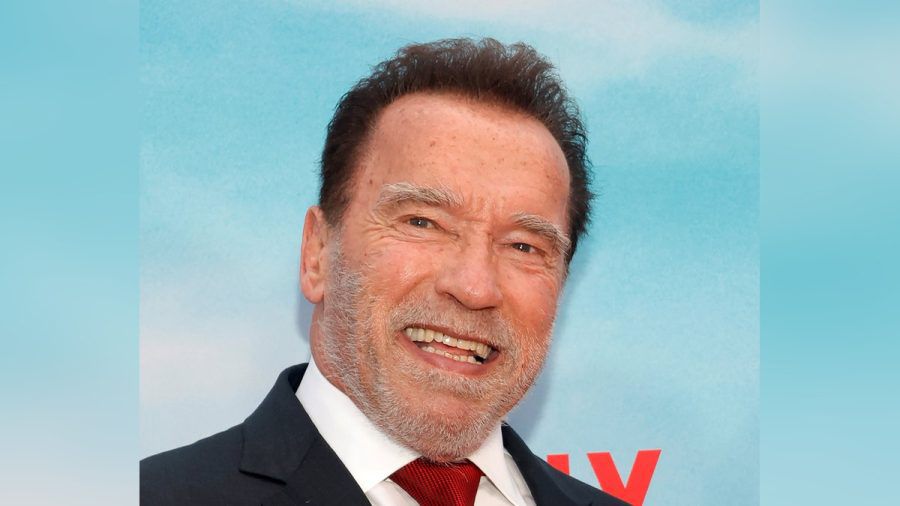 Gestoppt vom Münchner Zoll: Arnold Schwarzenegger (joeka/spot)