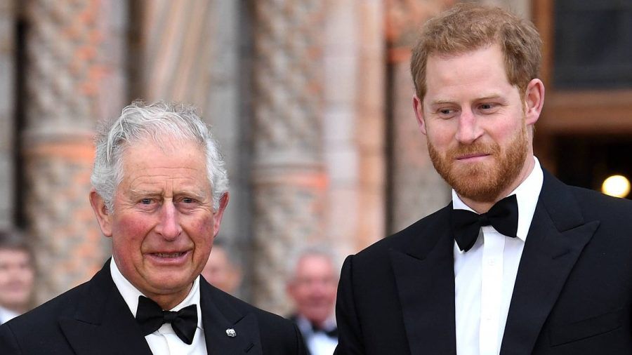 Viel Zeit sollen König Charles und Prinz Harry bislang nicht miteinander verbracht haben. (stk/spot)