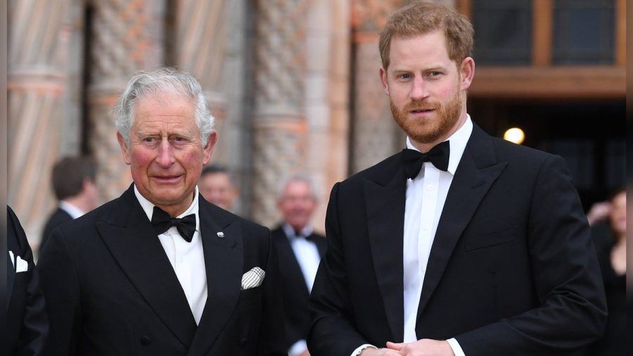 Im Mai soll es ein weiteres kurzes Treffen zwischen Prinz Harry und König Charles III. geben. (ncz/spot)