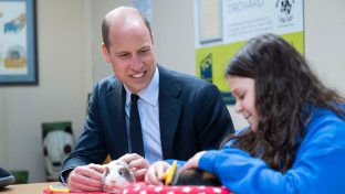 Prinz William hat am Donnerstag ein Meerschweinchen getroffen. (ncz/spot)