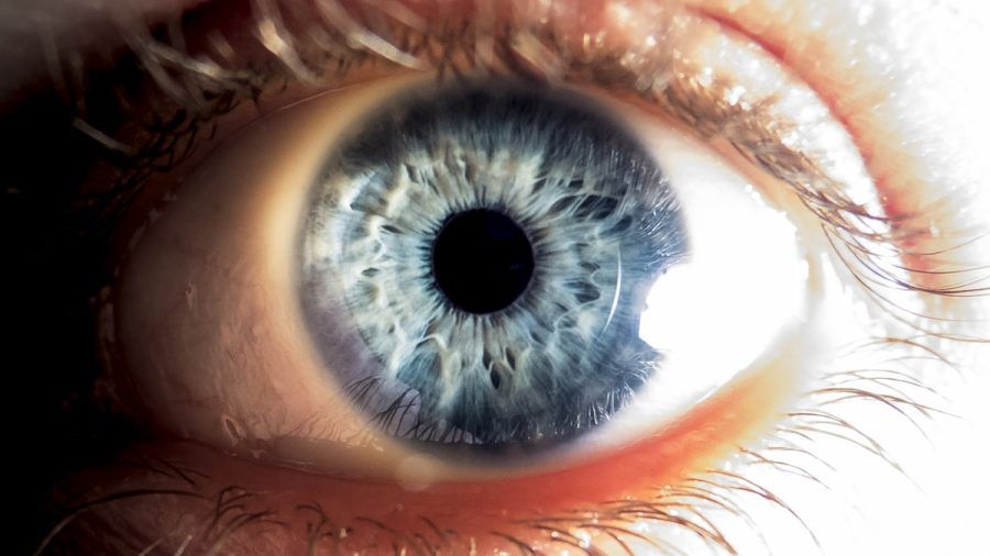 Das menschliche Auge ist Resultat von Millionen von Jahren der Evolution. (elm/spot)