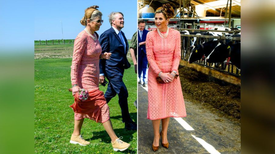 König Willem-Alexander und Königin Máxima auf dem Land und im Kuhstall. (ili/spot)