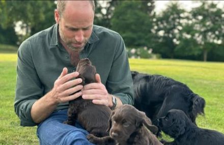 INSTAGRAM - ONE USE - Prince William birthday - June 25 - Kensington Royal - taken by Kate BangShowbiz