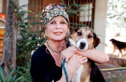 Brigitte Bardot Visits Dog Refuge 2001 - Getty BangShowbiz